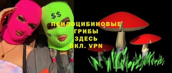 MDMA Premium VHQ Бородино