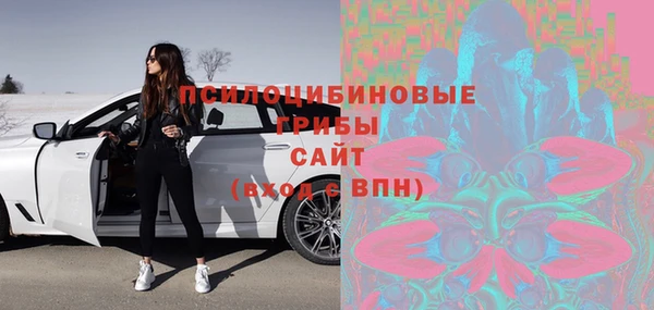 мдпв Бугульма