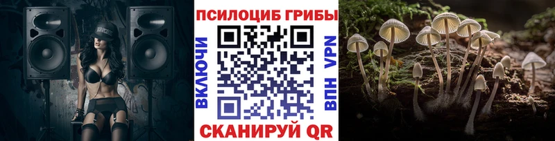 Галлюциногенные грибы Psilocybine cubensis  наркота  Зерноград 